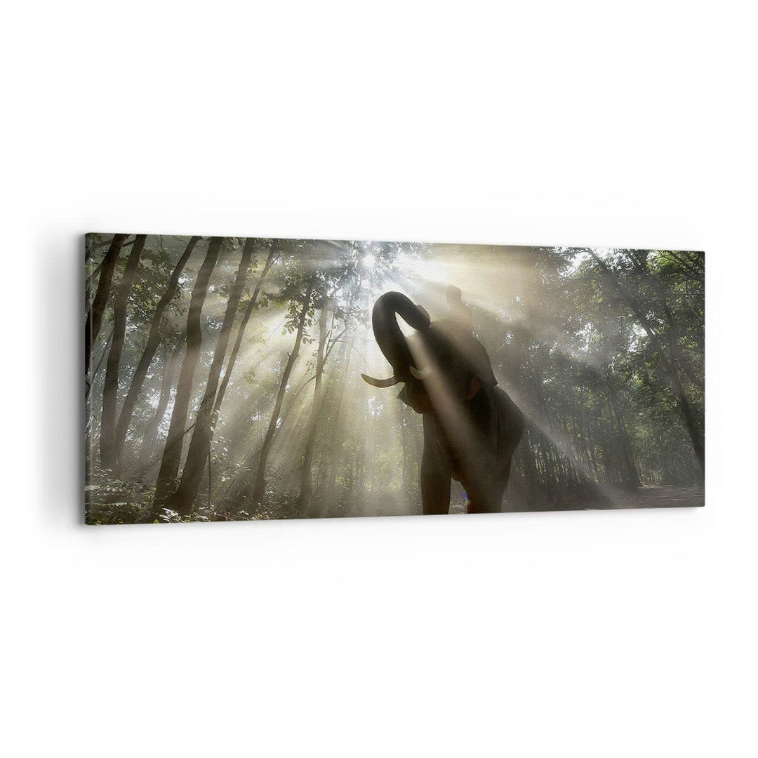 Wandbilder Dekoration Wohnzimmer Elefant Dschungel Panorama Bilder auf Leinwand 120x50cm Leinwandbil