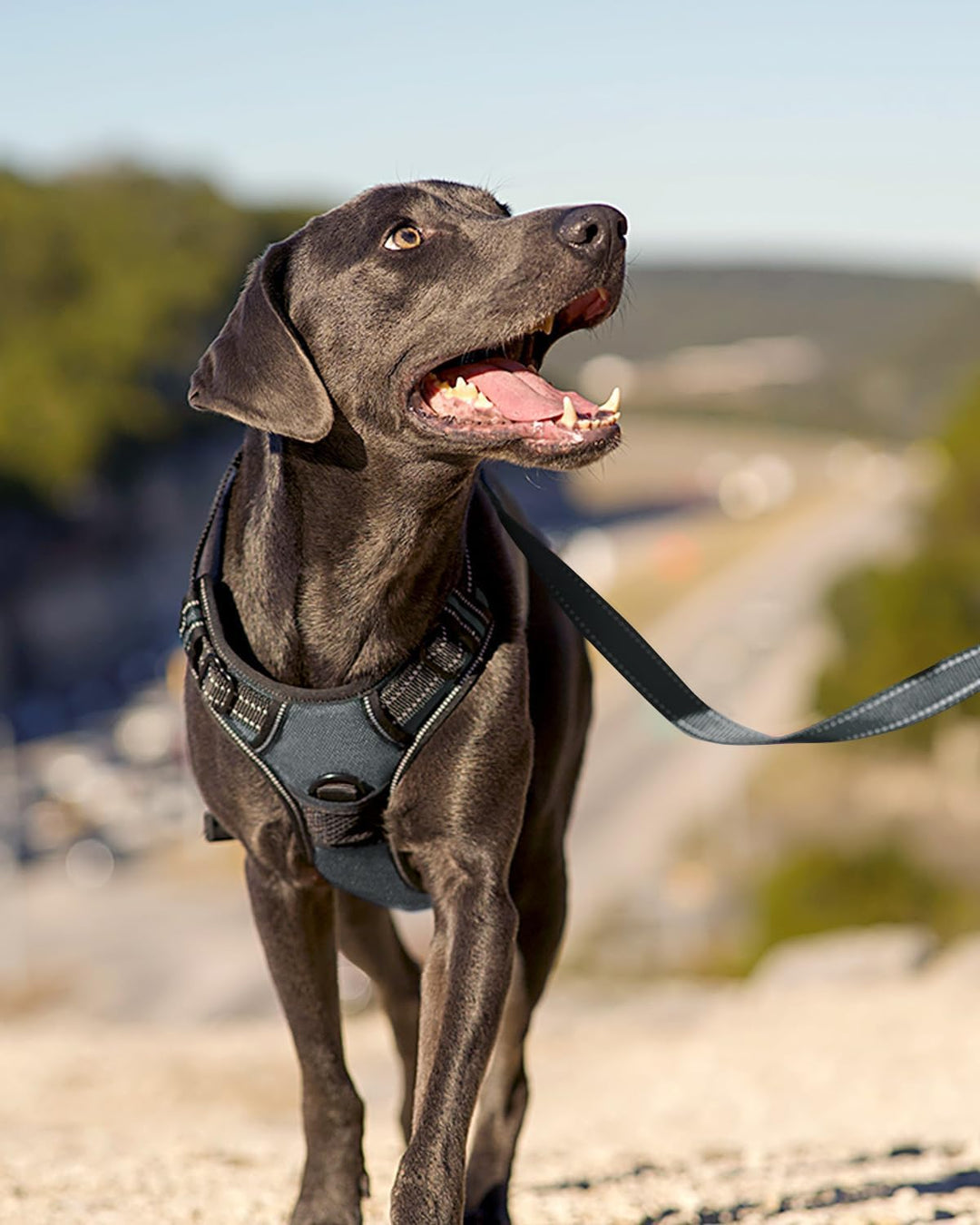 Joytale Anti-Zug Hundegeschirr für grosse Hunde, Grau, L | Perfekter Sitz, gepolstert &amp; reflektieren