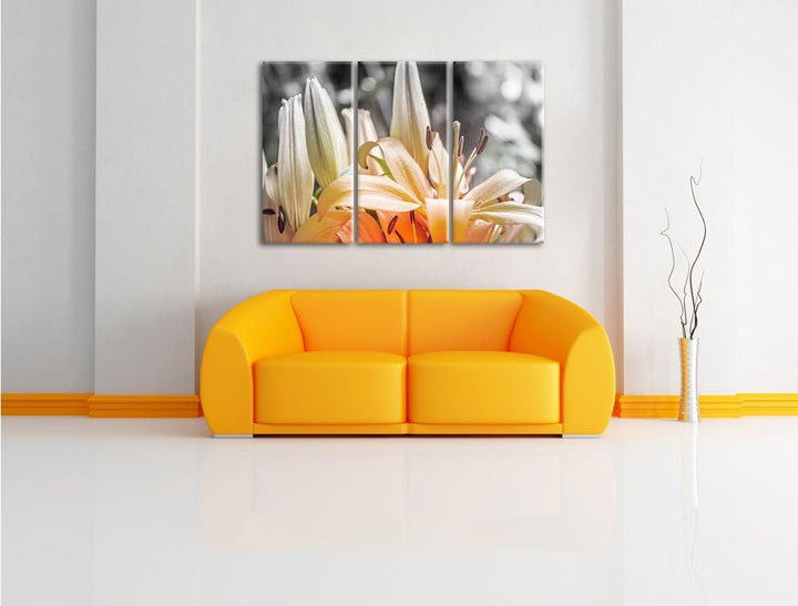 Pixxprint schöne orangene Lilien B&W Detail 3-Teiler Leinwandbild 120x80 Bild auf Leinwand