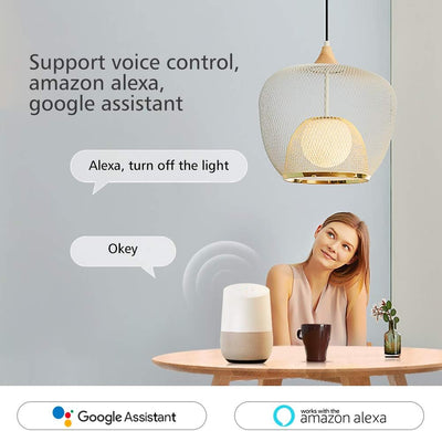 eMylo Smart WiFi RF Lichtschalter Drahtlose Fernbedienung Relaismodulschalter 5V-36V 1 Kanal Timer C