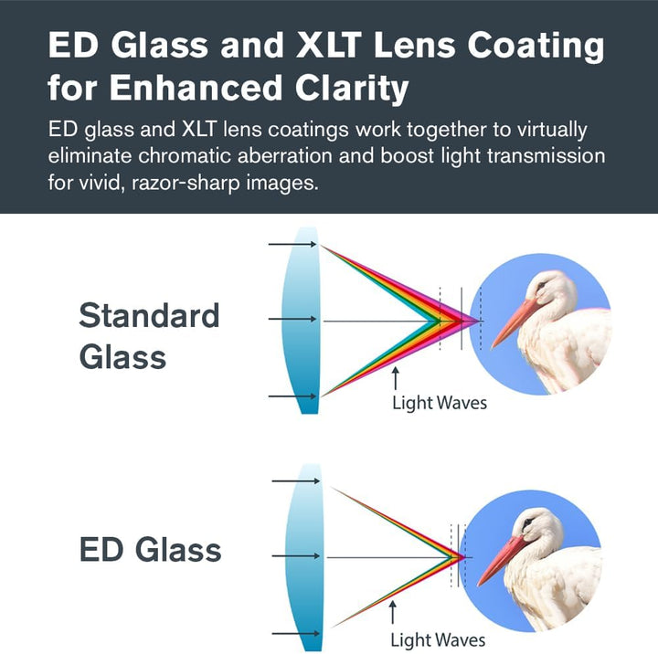 Celestron 52305 Regal M2 80ED Spektiv, Grün, Regal M2 80ED Spektiv