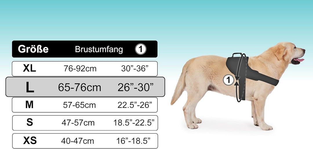 Hundegeschirr mit 3 Metallringankern zur Befestigung an Brust oder Brustkorb des Hundes, ohne den Ha