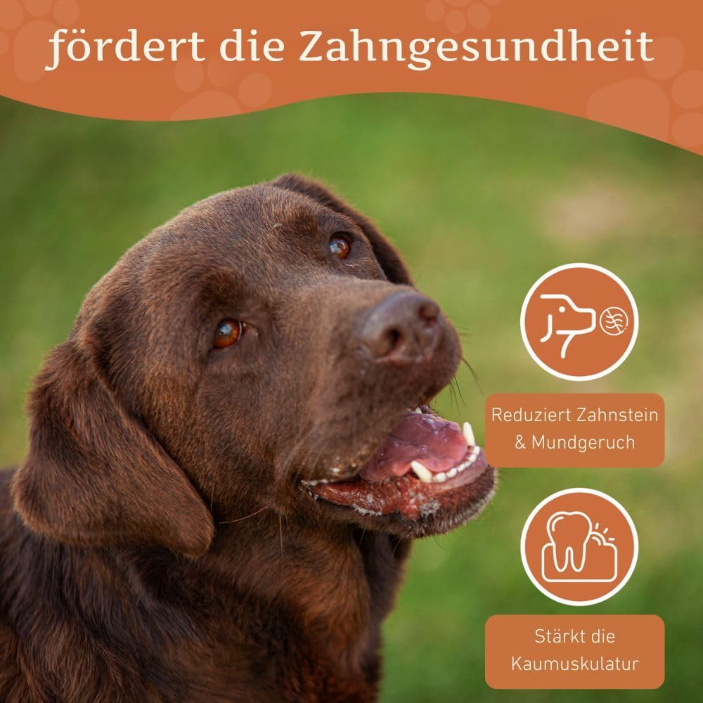 Wildfang® 3 Kauwurzel Hund (Grösse L) – Natürliches Kauholz aus Baumheide – Langlebiges & splitterfr