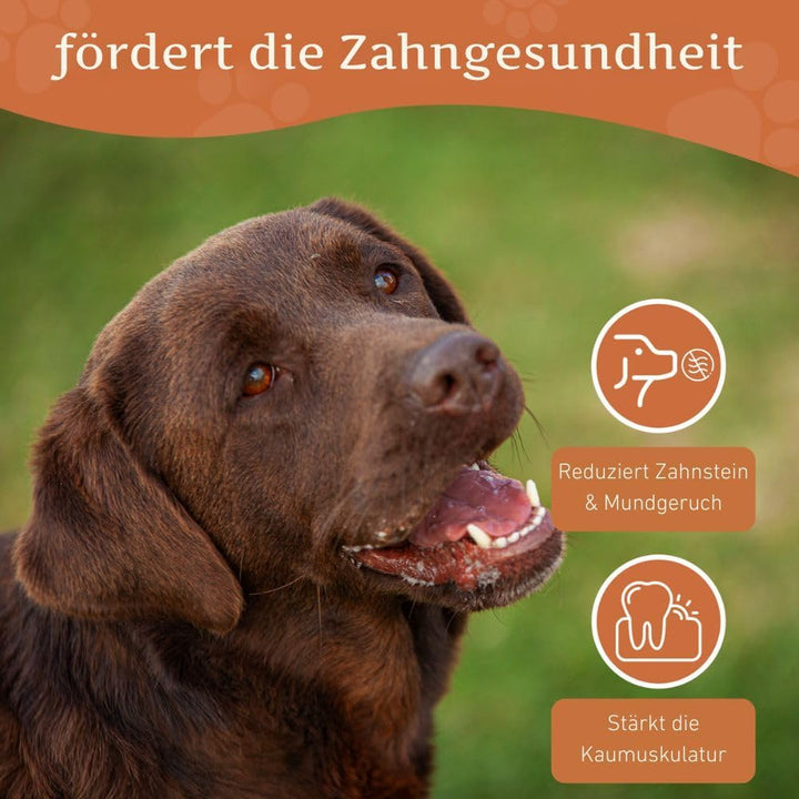 Wildfang® 3 Kauwurzel Hund (Grösse L) – Natürliches Kauholz aus Baumheide – Langlebiges & splitterfr
