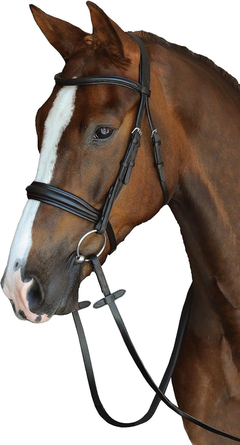 Collegiate Mono Crown Padded Raised Cavesson Snaffle Bridle Schwarz Volle Grösse, Schwarz Volle Grös