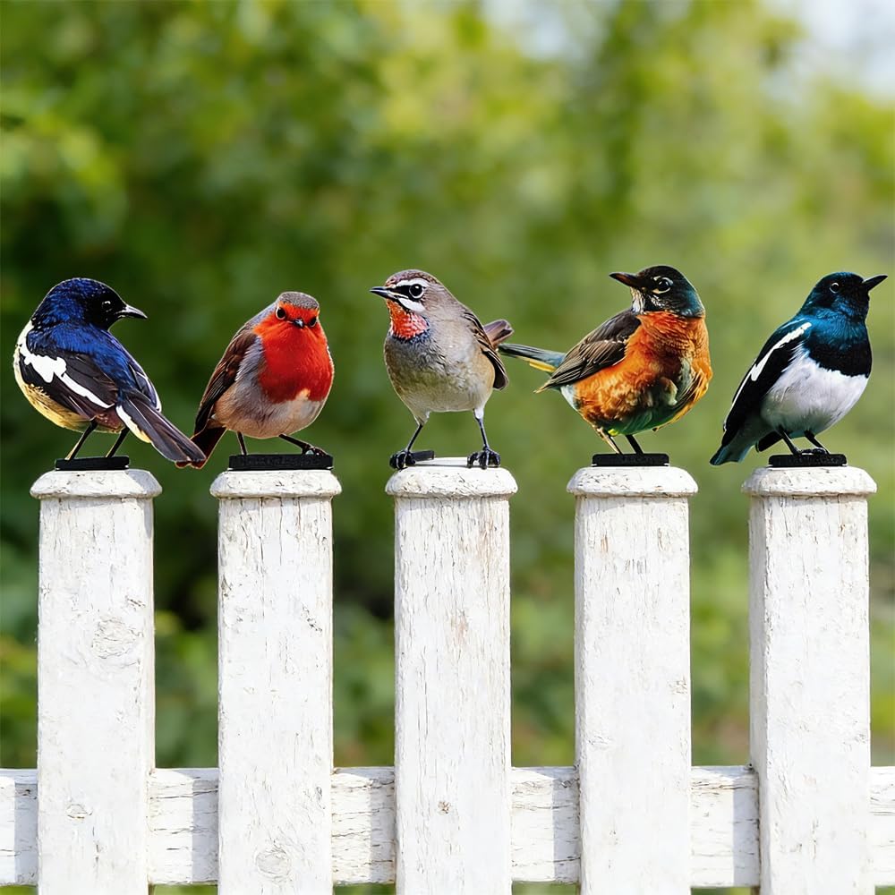 5 Stück Gartendeko Bemalte Vogel, Bunt Bemalte 2D Gartenkunst für draussen wetterfest, Vögel Gartens