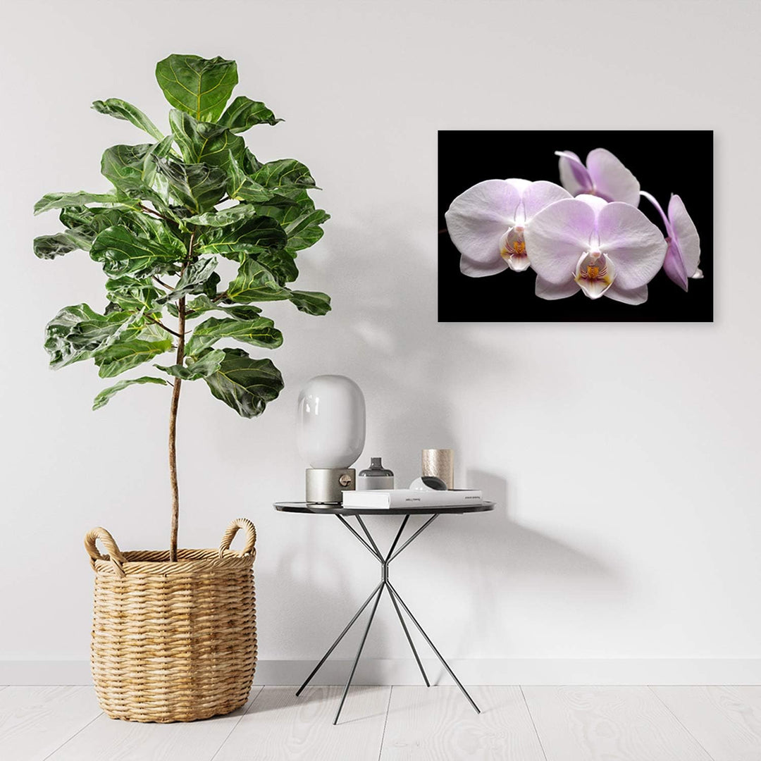 Feeby Wandbild Orchidee Druckbild Leinwandbild für Schlafzimmer Weiss 100x70 cm Leinwandbild 100x70