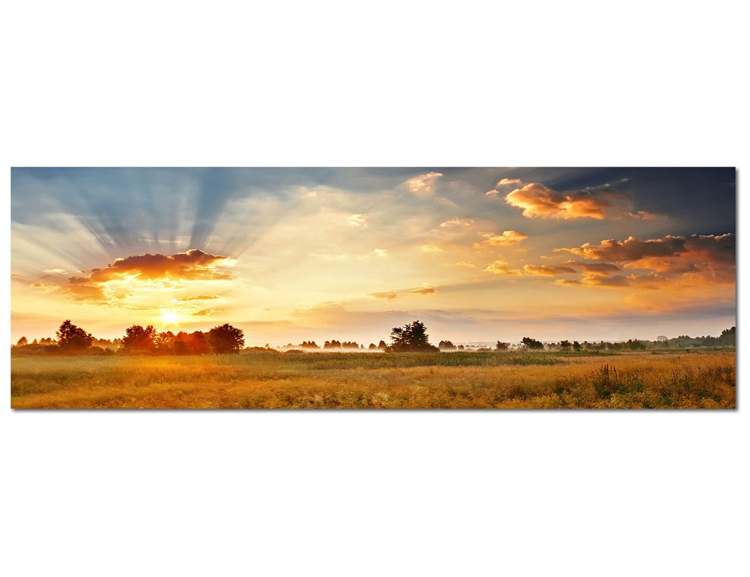 Paul Sinus Art Panoramabild auf Leinwand und Keilrahmen 120x40cm Wiese Landschaft Wolkenhimmel Sonne