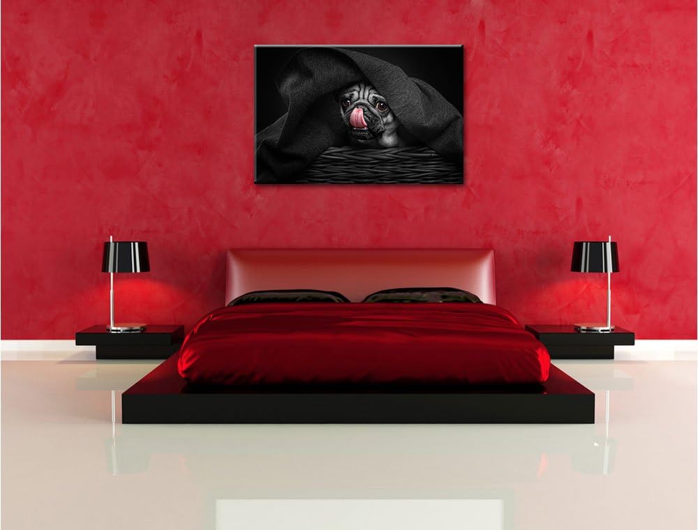 Pixxprint Süsser Mops unter der Decke als Leinwandbild/Grösse: 100x70 cm/Wandbild/Kunstdruck/fertig