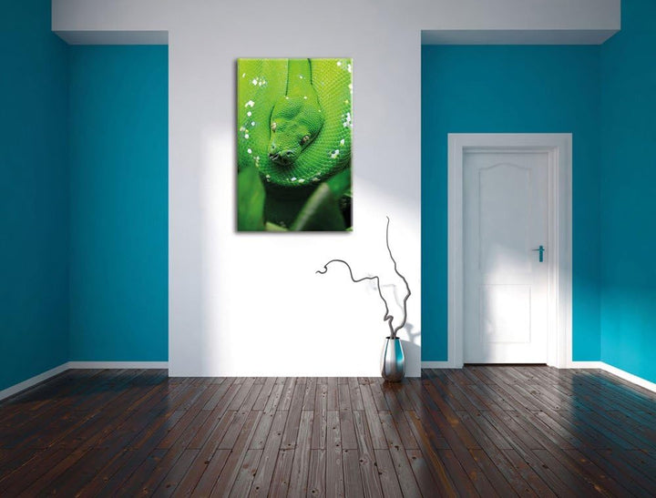 Grüne giftige Schlange, Format: 100x70 auf Leinwand, XXL riesige Bilder fertig gerahmt mit Keilrahme
