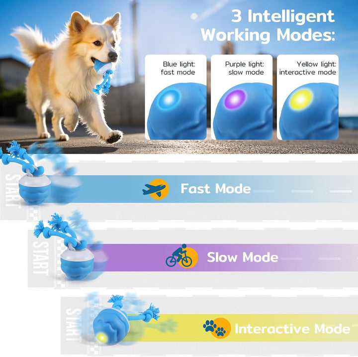 Interaktiver Ball, Rollt &amp; Springt, USB-C, für kleine Hunde blau, blau
