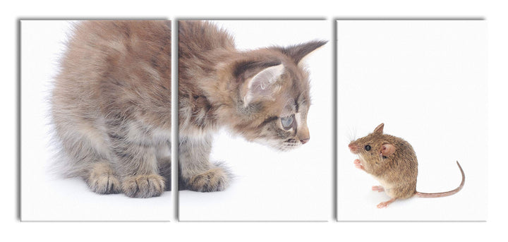Pixxprint Katze und Maus Freunde als XXL Leinwandbild in Übergrösse 180x80cm Gesamtmass 3 teilig/Wan