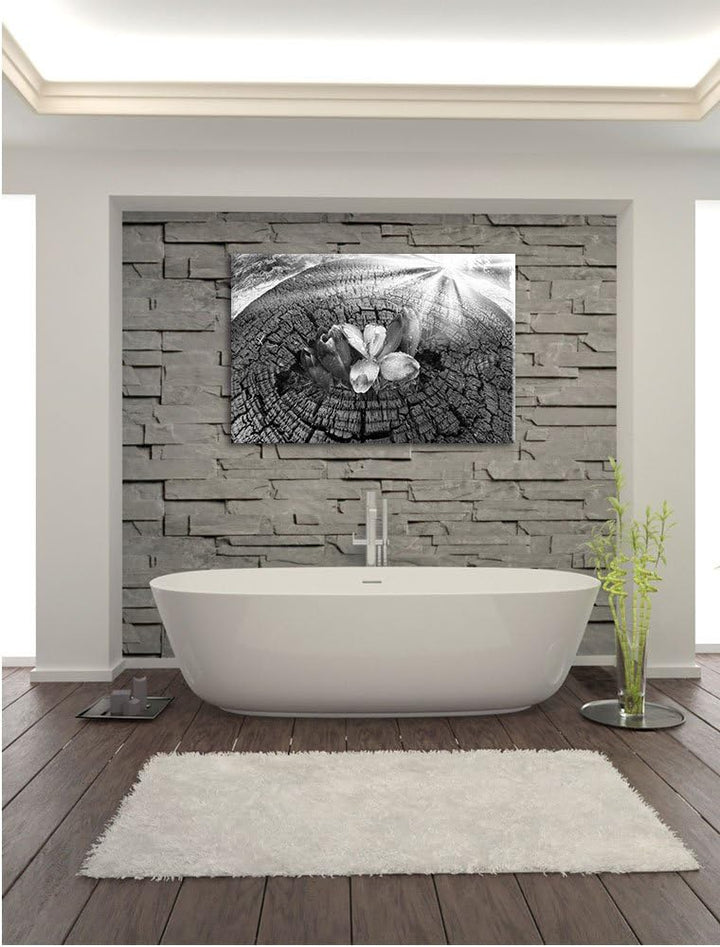 Pixxprint Die Kraft der Natur Kunst B&W / 100x70cm Leinwandbild bespannt auf Holzrahmen/Wandbild Kun