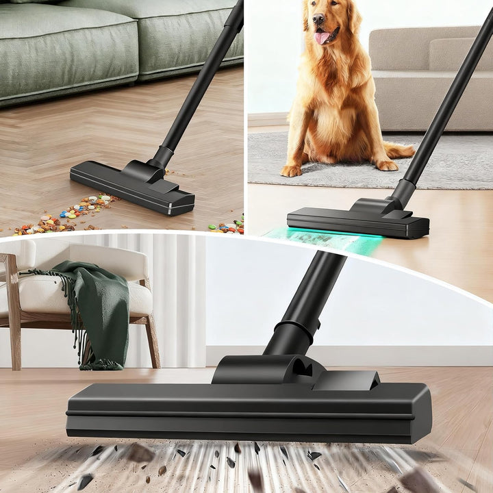 Staubsauger, 1000W Bodenstaubsauger, ideal für Tierhaare und Allergiker, Hygiene-Filter, für Parkett