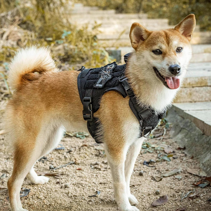 OneTigris Fire Watcher 2.0 Molle Hundegeschirr mit Griff und Schnalle aus Metall S Schwarz, S Schwar