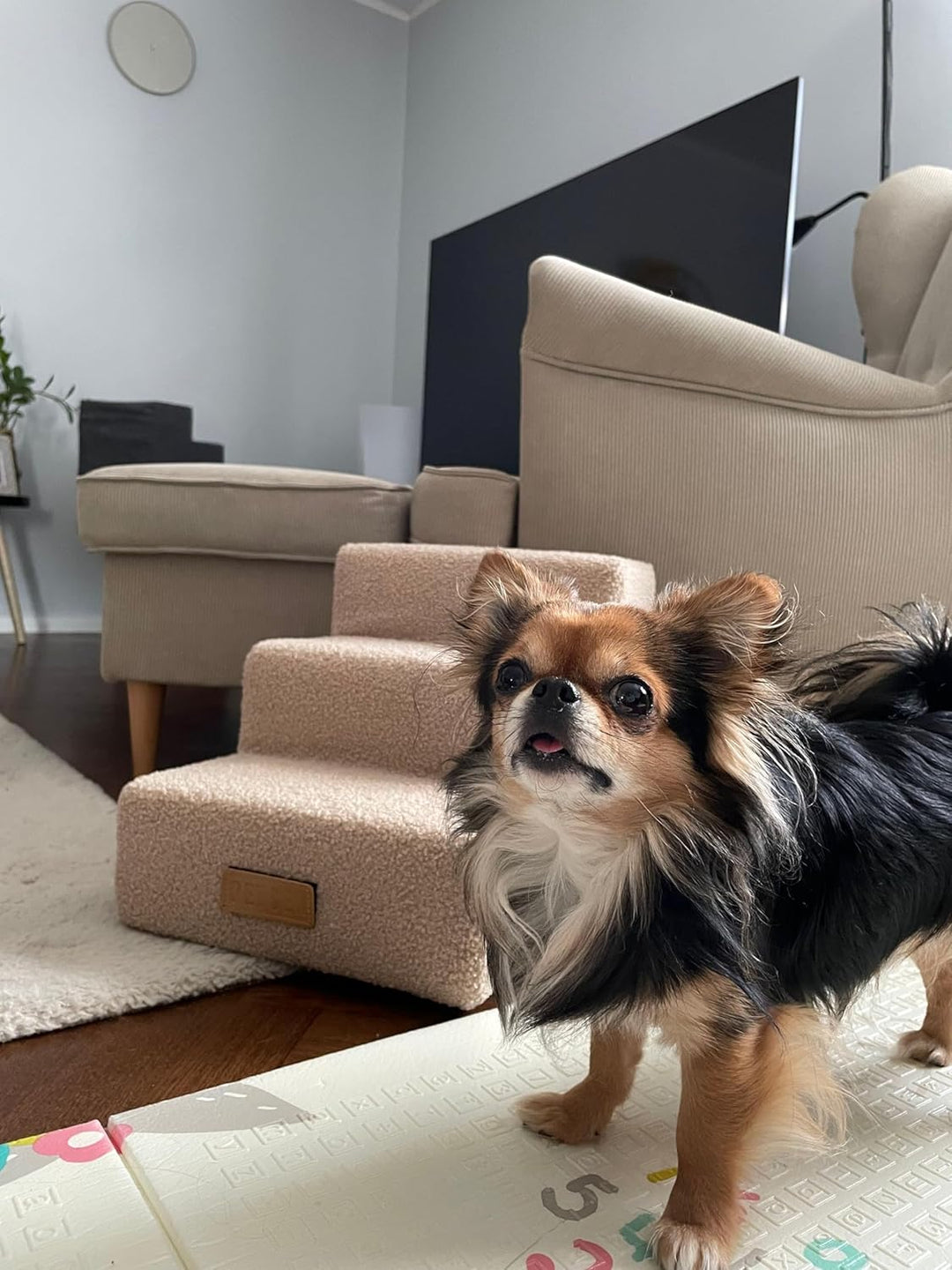 Sofatreppe für Hunde und Katzen – Hundetreppe für Bett &amp; Sofa – 3- oder 4-stufig, rutschfest &amp; wasch