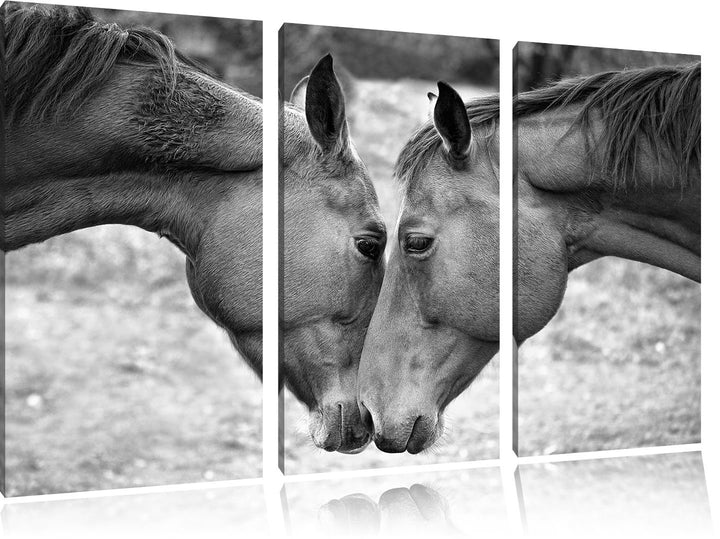 Pixxprint Zwei schmusende Pferde Kunst B&W als Leinwandbild | Grösse: 3 Teilig (120x80) | Wandbild|
