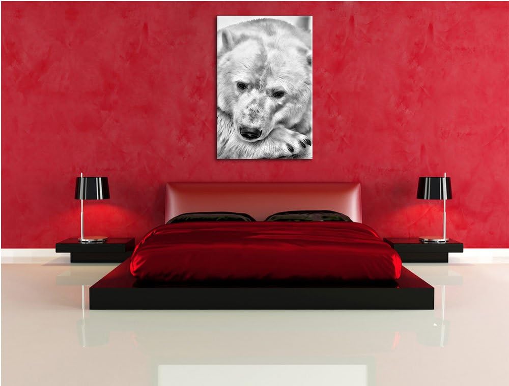 Pixxprint Nachdenklicher Eisbär als Leinwandbild/Grösse: 100x70 cm/Wandbild/Kunstdruck/fertig bespan