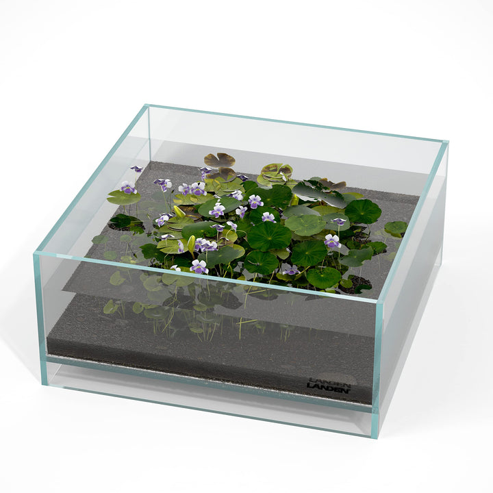 LANDEN Glas-Luft-Aquarium-Tank, Multi-SceneLandschafts-Aquarium, randlos, eisenarmer, Flacher Tank,