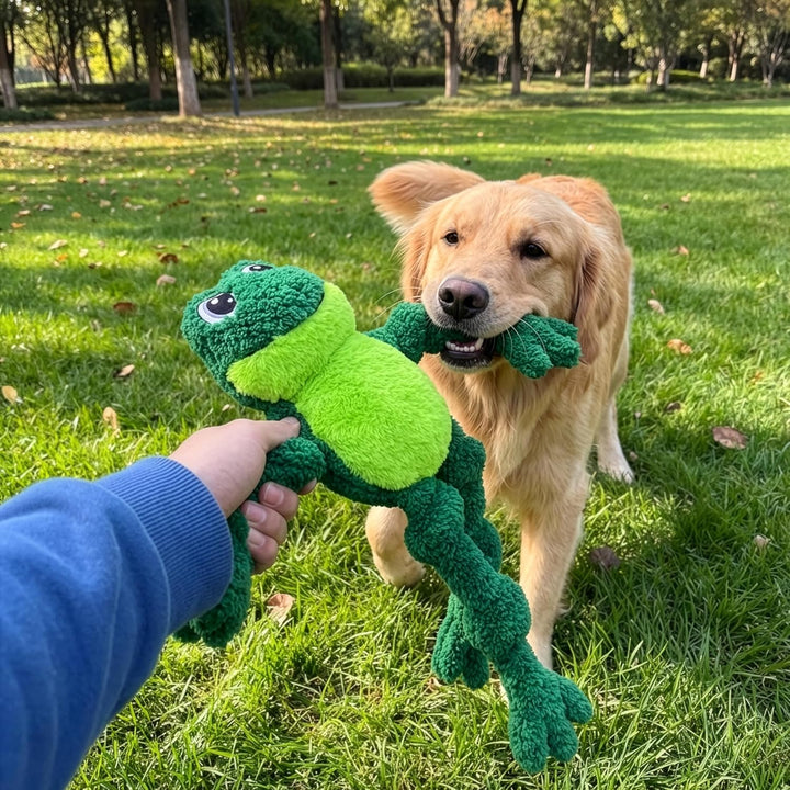 KONG Knotenfrosch mit innerem Seilskelett