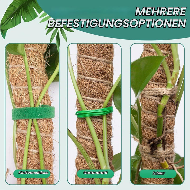 RYHX 4er Set 65cm Biegbare Monstera Rankhilfe, Moosstab und Pflanzstab für Zimmerpflanzen 4×65CM, 4×