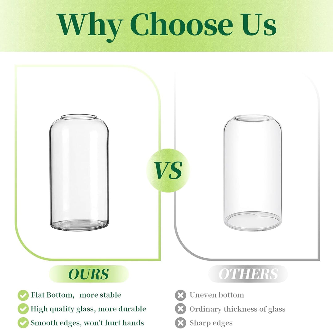 Hewory Kleine Vasen für Tischdeko: 6er Set Klar Vasen Deko Glaszylinder Vase Glas, Klein Glasvase Ru