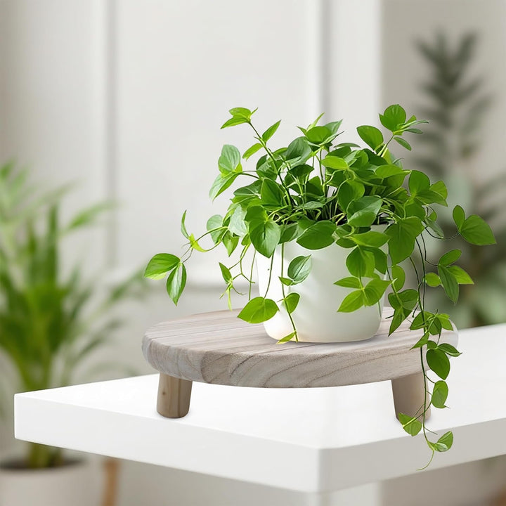 Spetebo Holz Blumenhocker Natur mit 3 Beinen - 29 x 7 cm - Massivholz Pflanzenständer rund naturbela