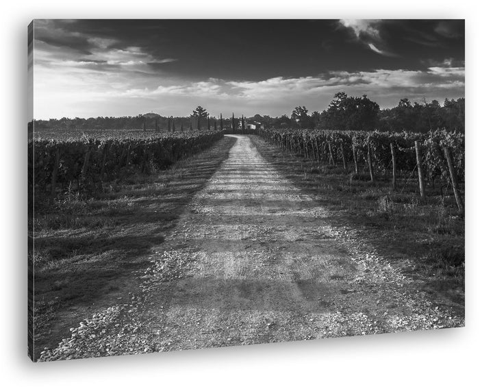 Feldweg in der Toskana Effekt: Schwarz/Weiss Format: 100x70 als Leinwandbild, Motiv fertig gerahmt a