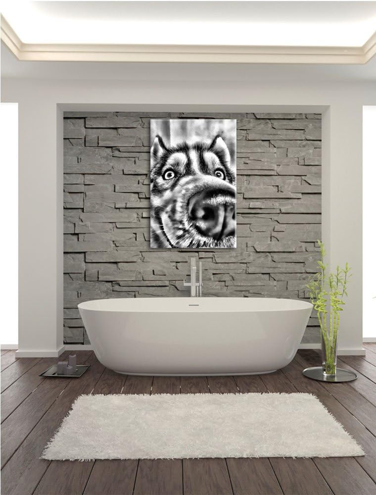 Pixxprint Glücklicher Husky / 100x70cm Leinwandbild bespannt auf Holzrahmen/Wandbild Kunstdruck Deko