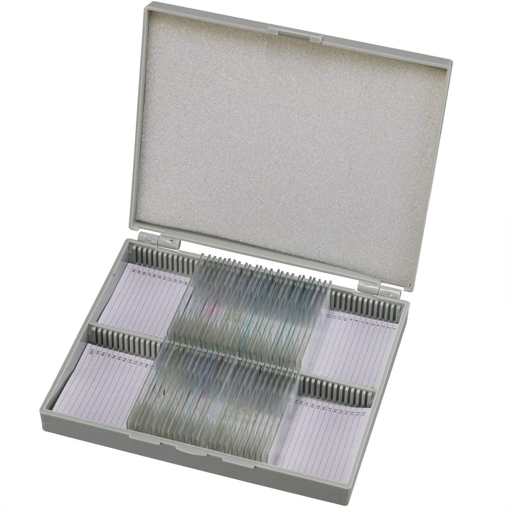 Bresser Mikroskop Dauerpräparate 30 Stück in Kunststoffbox, Lernpräparate aus der Biologie Single, S