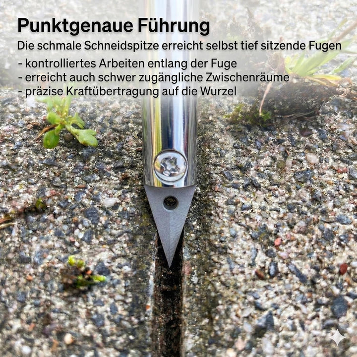 GIGANT Fugenkratzer Fugenreiniger Unkrautkratzer Schneide aus Vollhartmetall verschleissfest wendbar