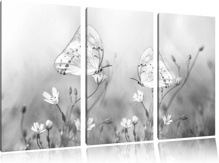 Pixxprint Schmetterling auf kleinen Blumen als Leinwandbild/Grösse: 3 Teilig (120x80 cm) cm/Wandbild