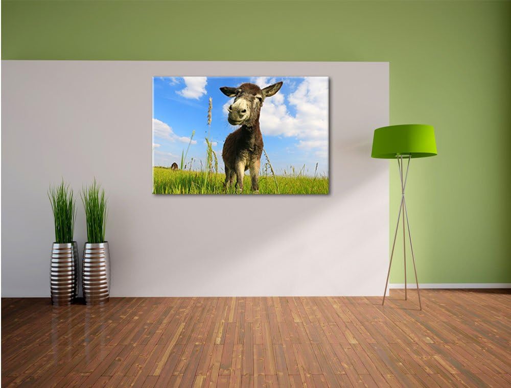 Pixxprint Esel in einem Feld in sonnigen Tag, Format: 100x70 auf Leinwand, 100x70