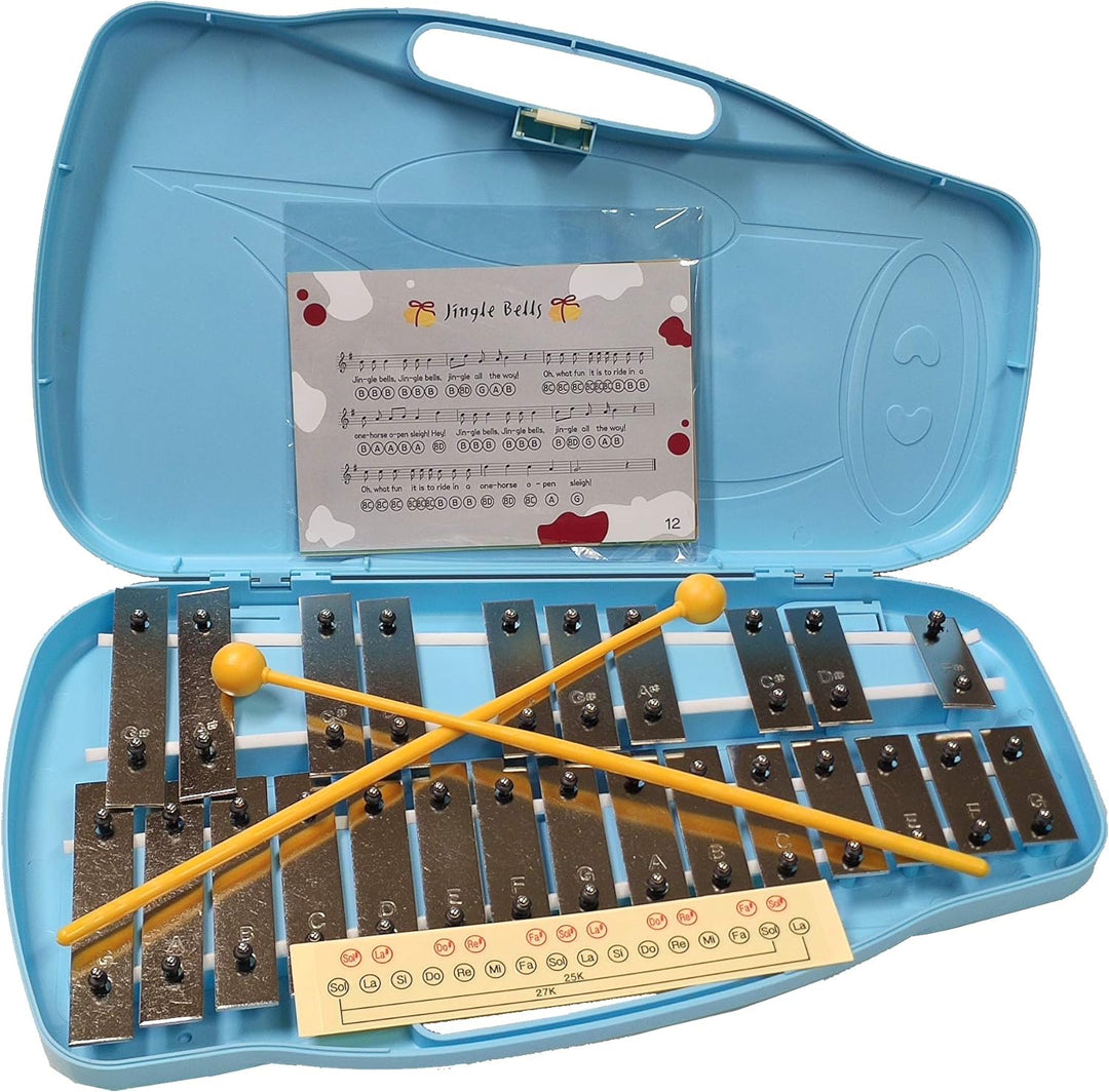 25 silberfarbene Noten UKAM Modell RA250S, Notizen, mit Notizen, inklusive 2 farbigen Sticks, Aufkle