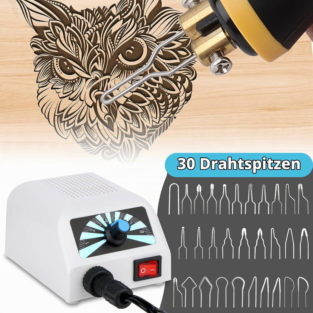 Holzverbrennungsset mit 30 Brennspitzen, 60W Brandmalerei-Maschine,einstellbare Temperatur 100–800 ℃