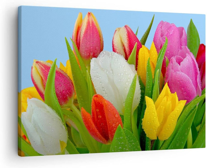 Bilder auf Leinwand Tulpen Blumenstrauss Blumen Tau Leinwandbild 70x50cm Wandbilder Dekoration Wohnz