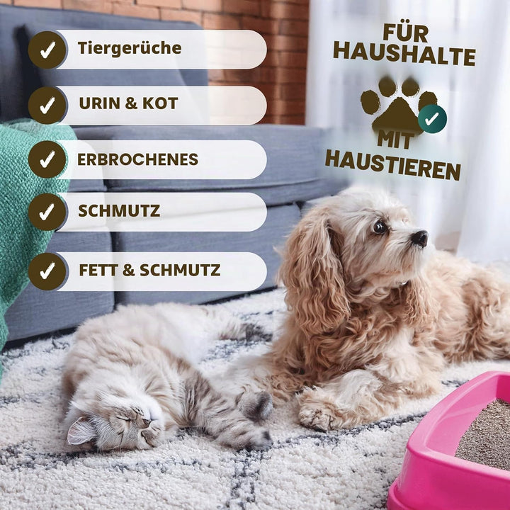 Dirtbusters Reinigungslösung mit Geruchsentferner für Dampfreiniger, für alle Oberlächen und Teppich