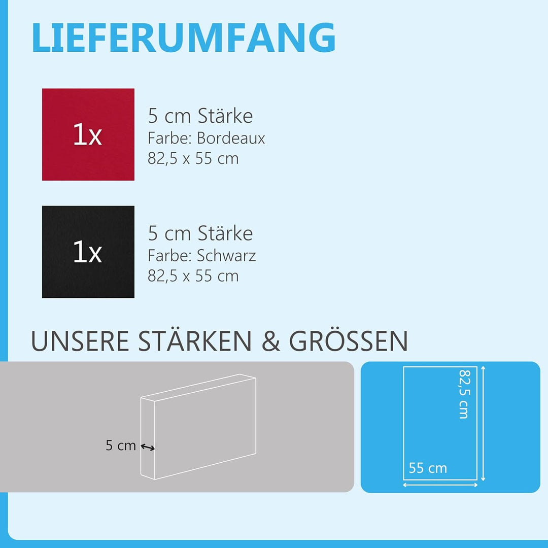 platino24 Schallabsorber COLORE aus Basotec G+ I Akustikpaneele mit Akustikfilz I 2 Wand-Paneele in