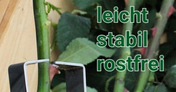 meytrade Rosenentdorner Garten Werkzeug Händeschutz Dornenentferner auch für Schnittblumen geeignet
