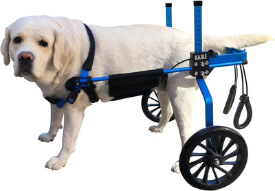 KAJILE Verstellbarer 2-Rad-Hunderollstuhl, L-2 Grösse für behinderte Hund Hinterbeine Rehabilitation