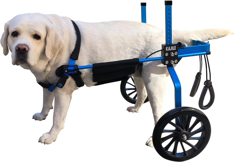 KAJILE Verstellbarer 2-Rad-Hunderollstuhl, L-2 Grösse für behinderte Hund Hinterbeine Rehabilitation