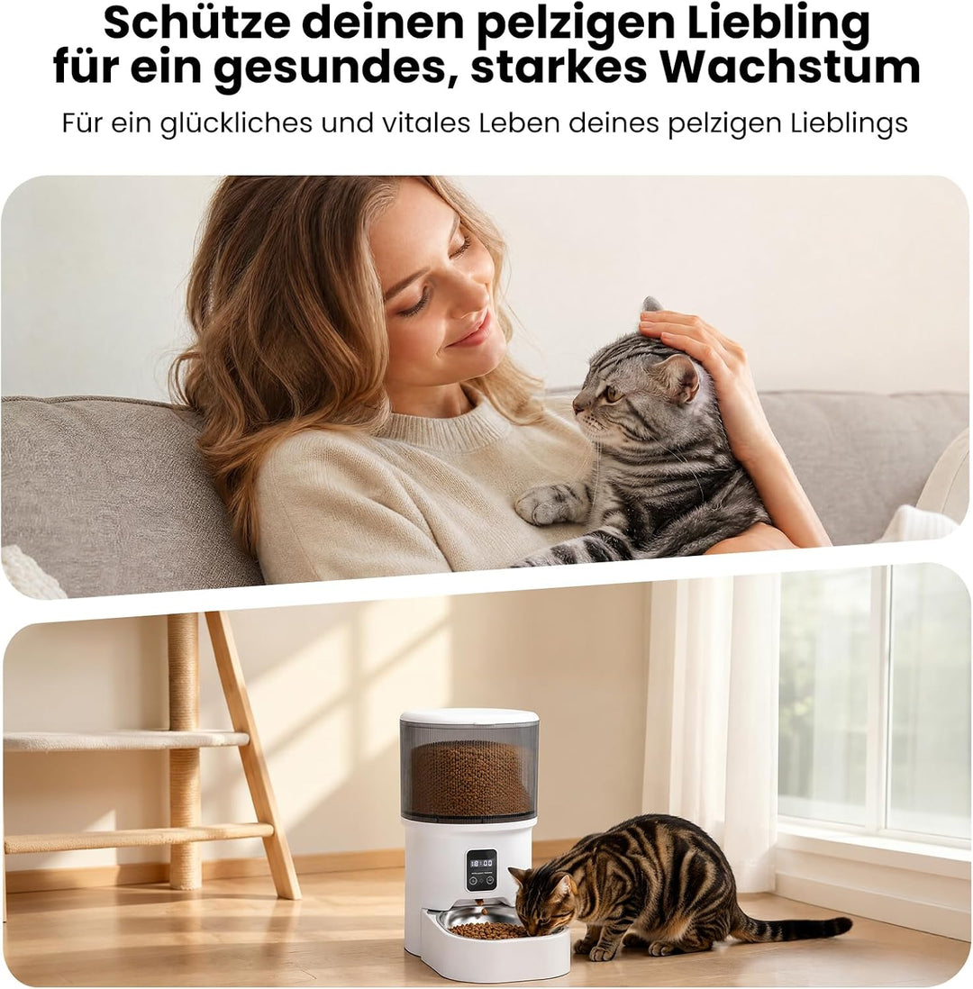 Futterautomat Katze 4 L, Katzenfutter Automat, 1-6 Mahlzeiten pro Tag, Futter für Katzen/Hunde, Mit