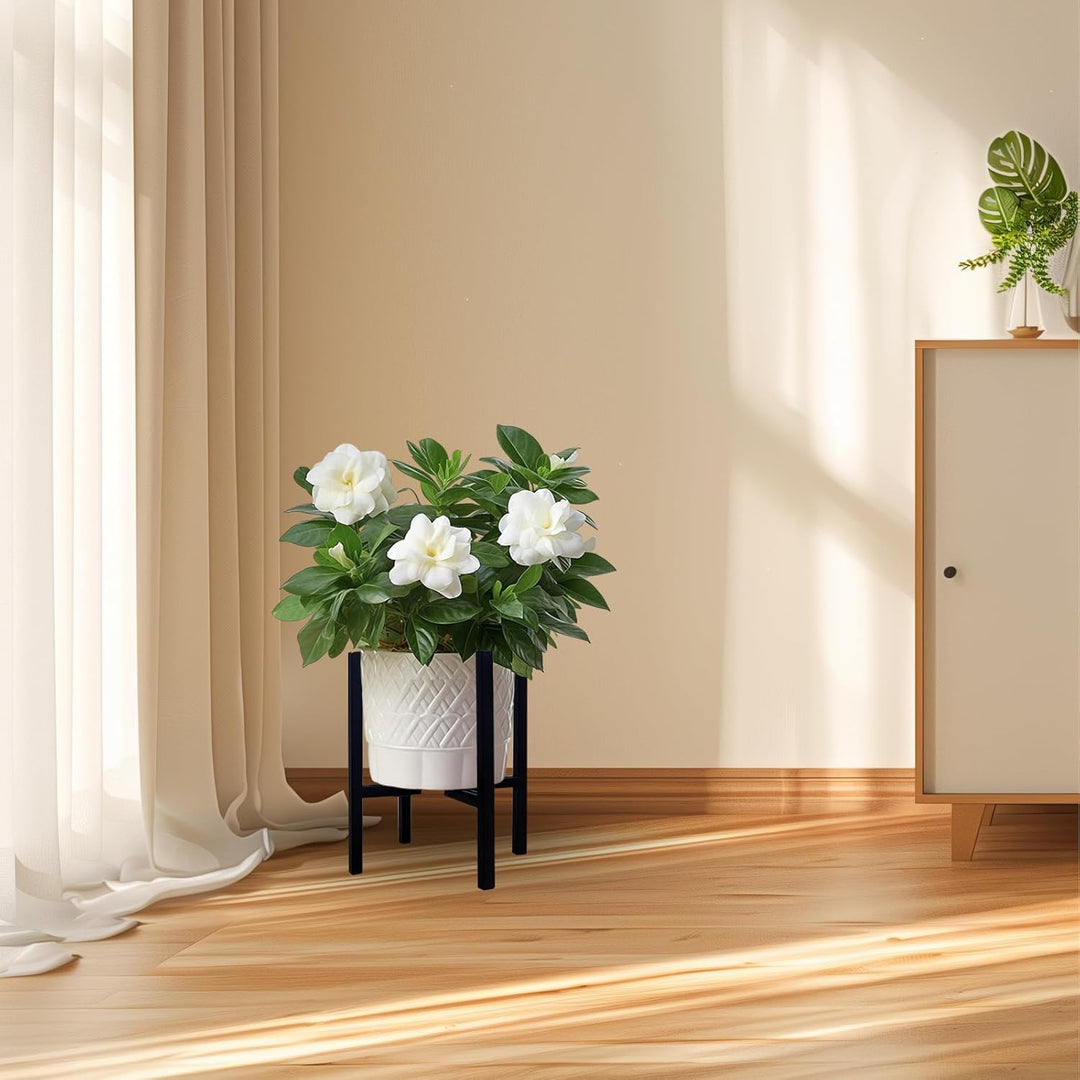 Generisch Blumenständer, verstellbarer Metall Pflanzenständer, Innen und Aussen Wohnzimmer Ecke mit