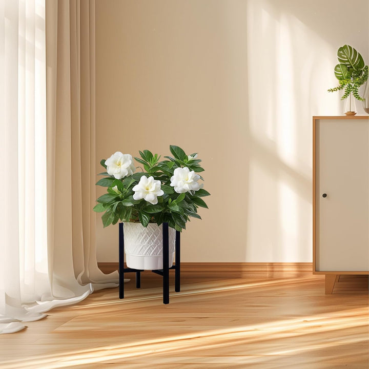 Generisch Blumenständer, verstellbarer Metall Pflanzenständer, Innen und Aussen Wohnzimmer Ecke mit