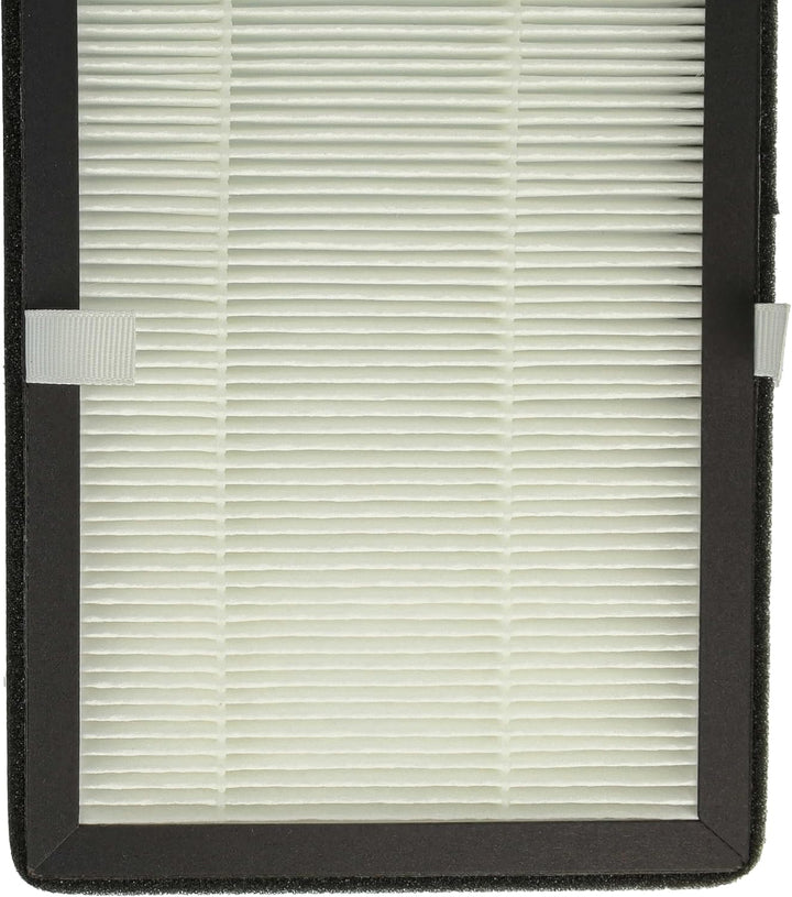 vhbw 2x Partikelfilter kompatibel mit Rowenta Eclipse QU5030, QU5072, QU5060, QU5062 Luftreiniger, L