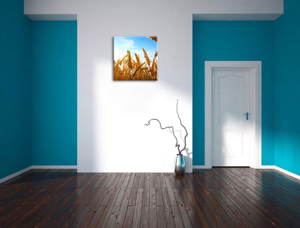 Getreide im Sonnenschein, Format: 70x70 auf Leinwand, XXL riesige Bilder fertig gerahmt mit Keilrahm