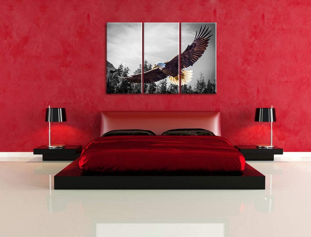 Pixxprint grosser Fliegender Adler als Leinwandbild | Grösse: 3 Teilig (120x80) | Wandbild| Kunstdru