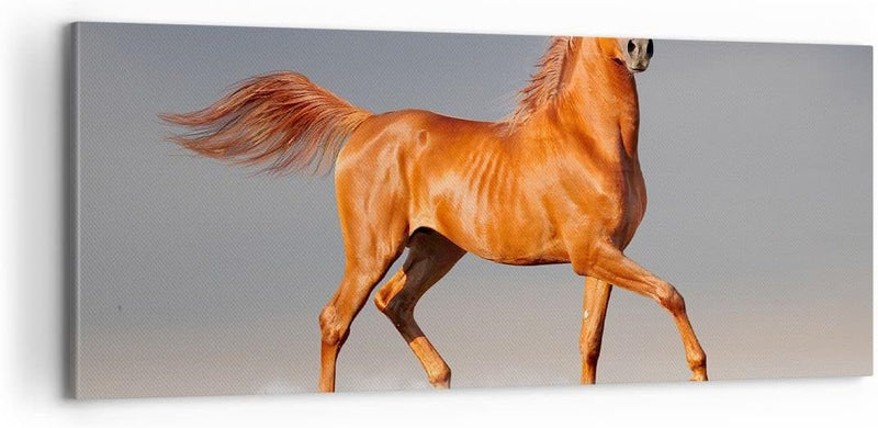 Bilder auf Leinwand 100x40cm Leinwandbild Tiere Pferd Galopp Geschwindigkeit Gross Wanddeko Bild Sch