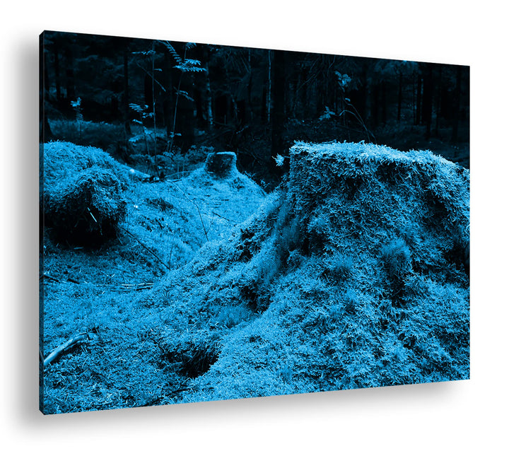 deyoli Moos bedeckter Waldboden Format 100x70 Effekt: Monocrome Blau als Leinwandbild, Motiv fertig