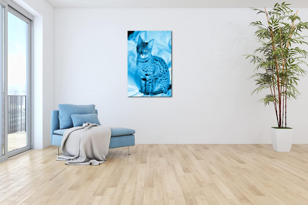 deyoli süsse Savannah Katze Format 80x60 Effekt: Monocrome Blau als Leinwandbild, Motiv fertig gerah